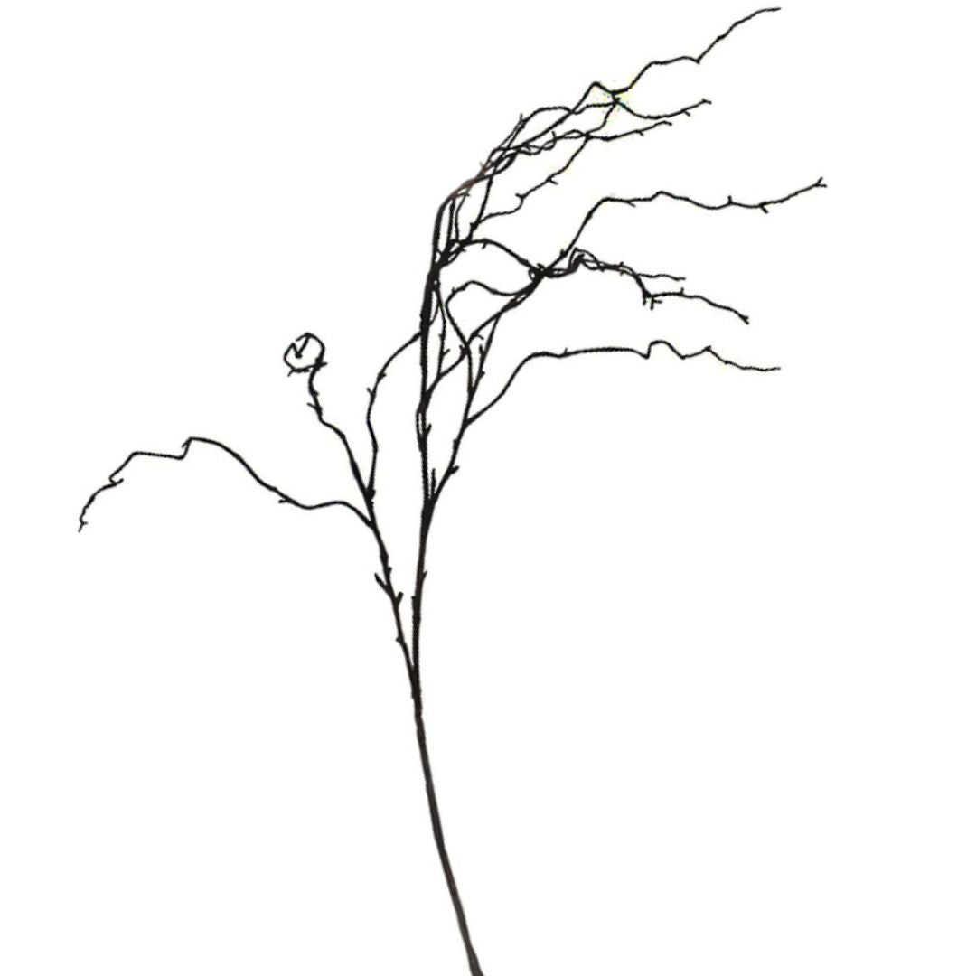 Willow Branch Brown - 100cm