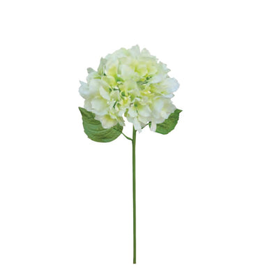 Italian Hydrangea - Cream