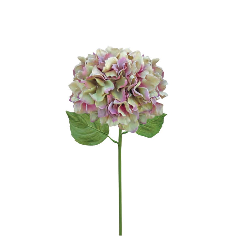 New Italian Hydrangea - Vintage Pink