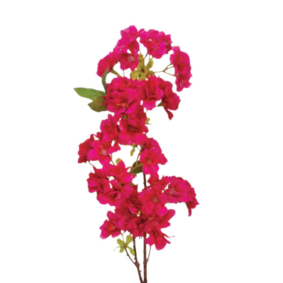 Japanese Cherry Spray: Hot Pink