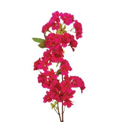 Japanese Cherry Spray: Hot Pink