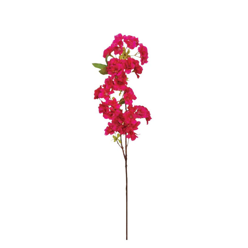 Japanese Cherry Spray: Hot Pink