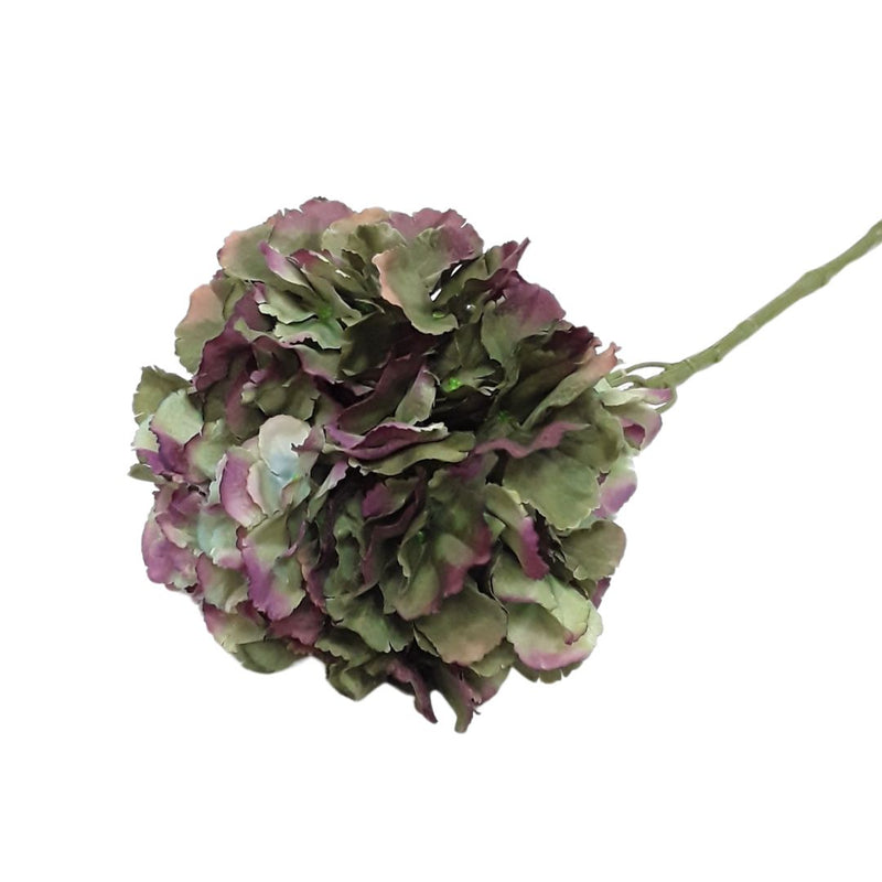 Large Ball Hydrangea - Autumn Moss