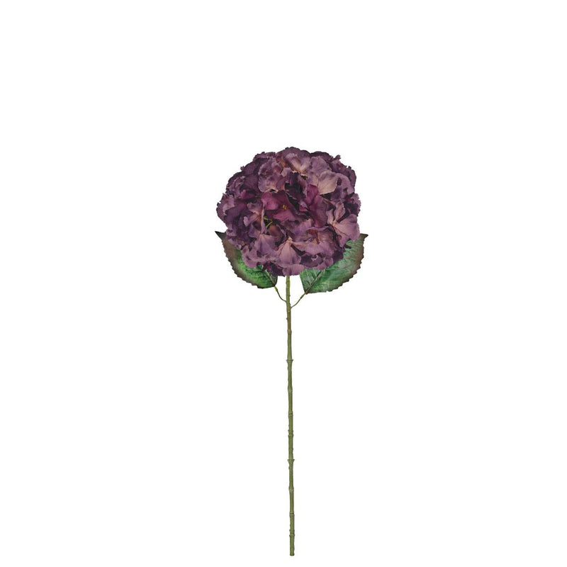 Large Ball Hydrangea - Eggplant