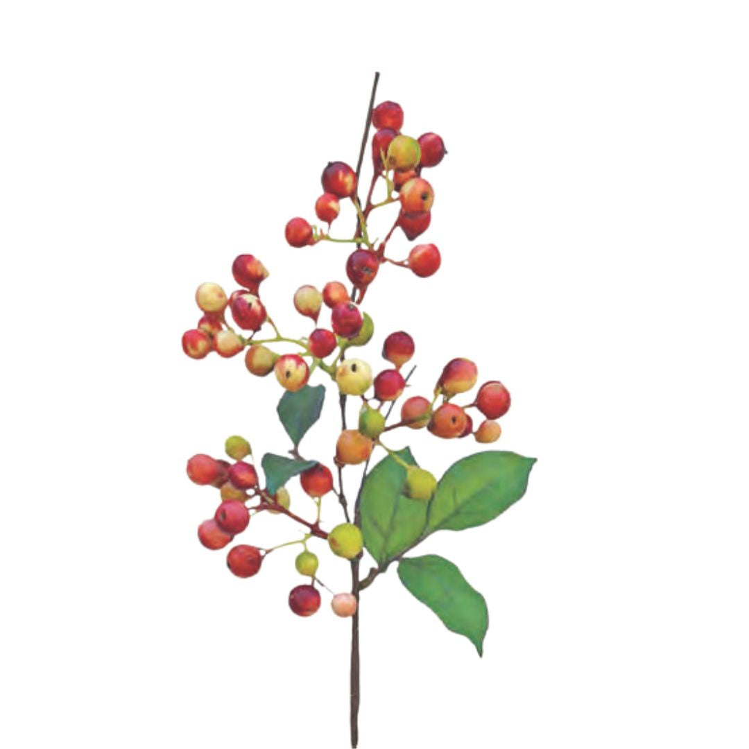 Large Berry - Mixed