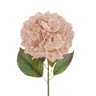 Large Ball Hydrangea: Soft Rose