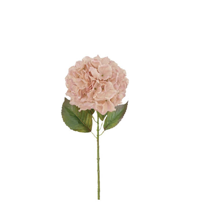 Large Ball Hydrangea: Soft Rose