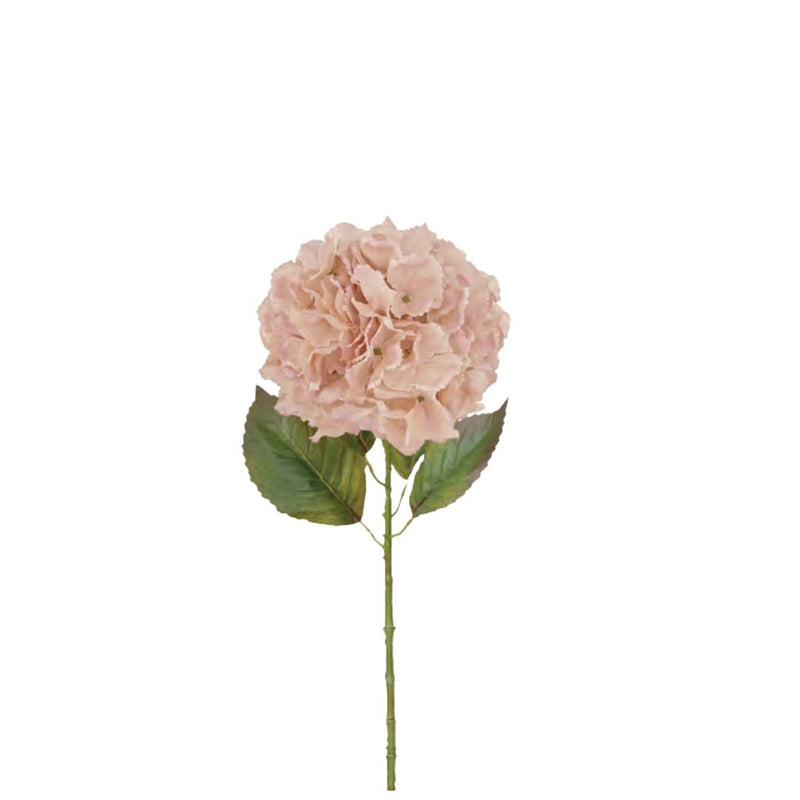 Large Ball Hydrangea: Soft Rose