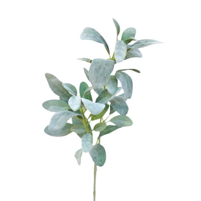 Lamb's Ear Spray: Green