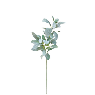 Lamb's Ear Spray: Green