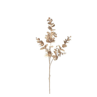 Large Eucalyptus: Champagne