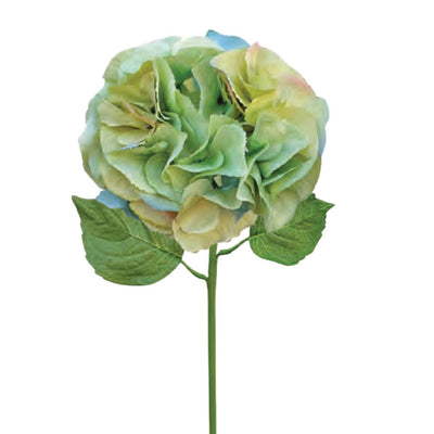 Sage Green Petal Hydrangea - Large