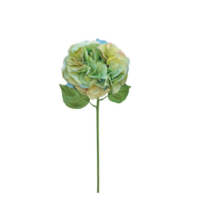 Sage Green Petal Hydrangea - Large