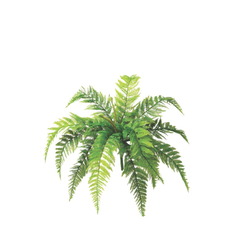 Large Native Fern - Green