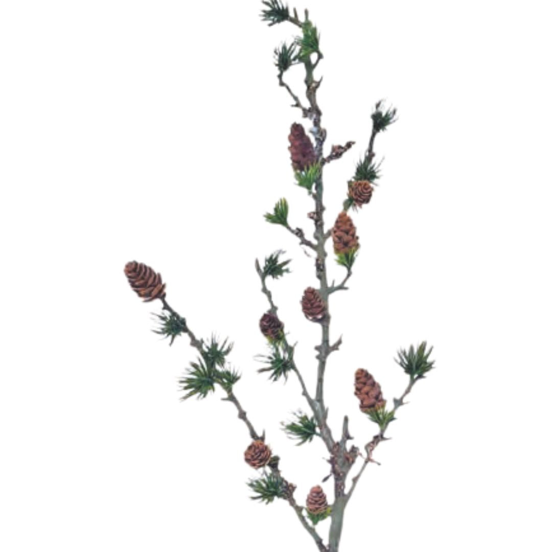 Lux Pine Branch - Green