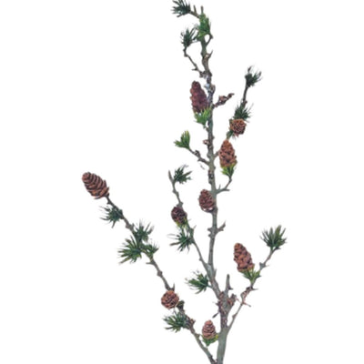 Lux Pine Branch - Green