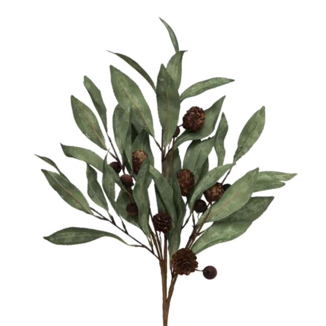 Eucalyptus & Brown Berry Wood Branch