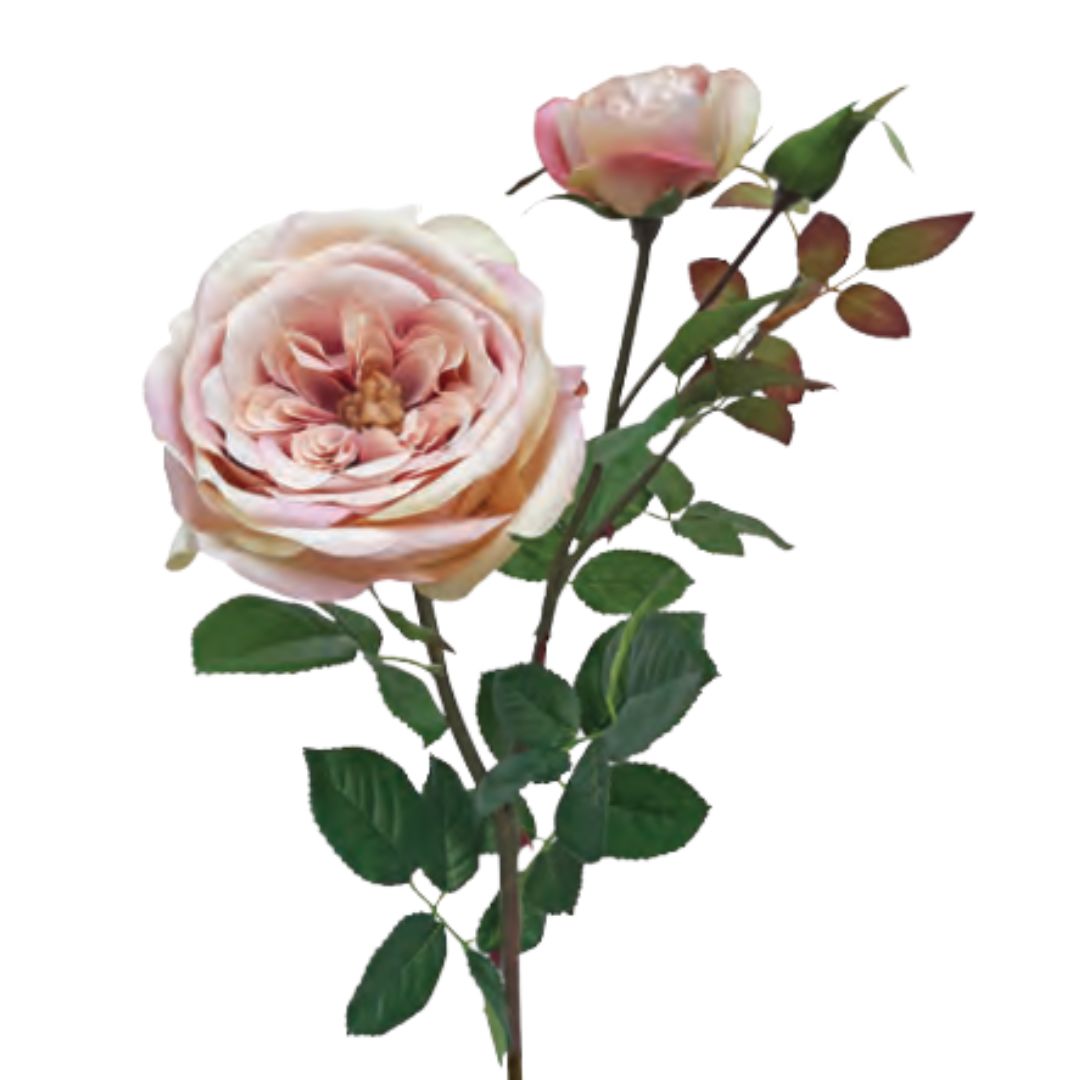 Large English Rose - Light Pink