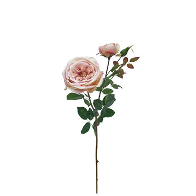 Large English Rose - Light Pink