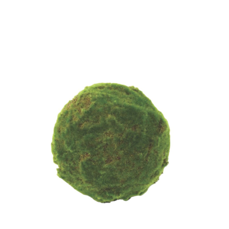 Moss Ball: Green - 12cm