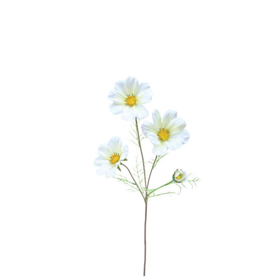 Meadow Cosmos: White