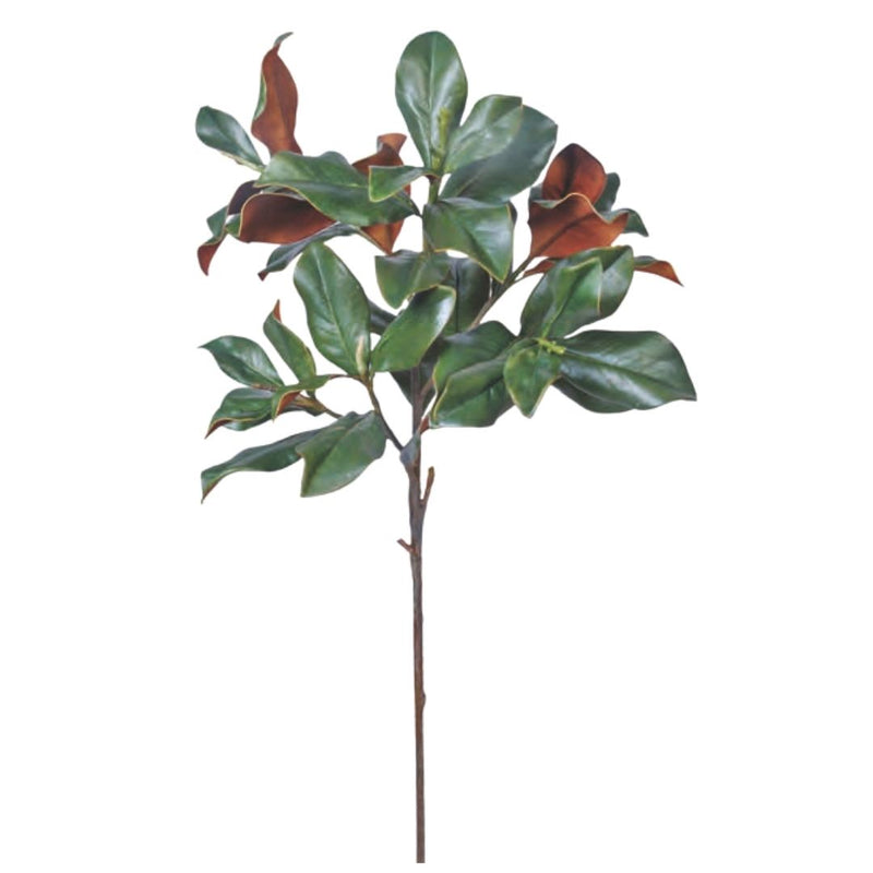 Evergreen Magnolia Branch - Dark Green