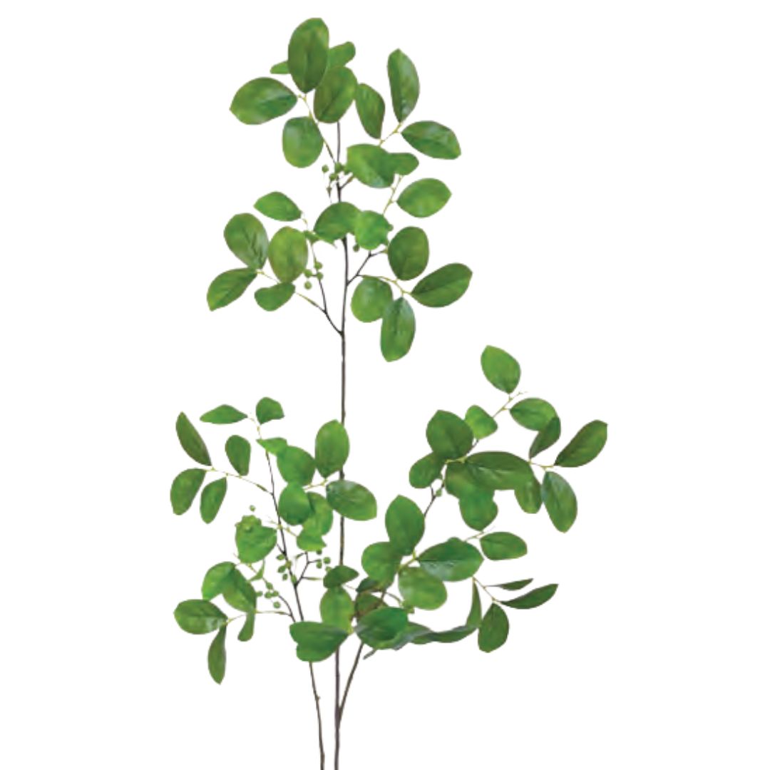 Myrtle Foliage: Green - Tall