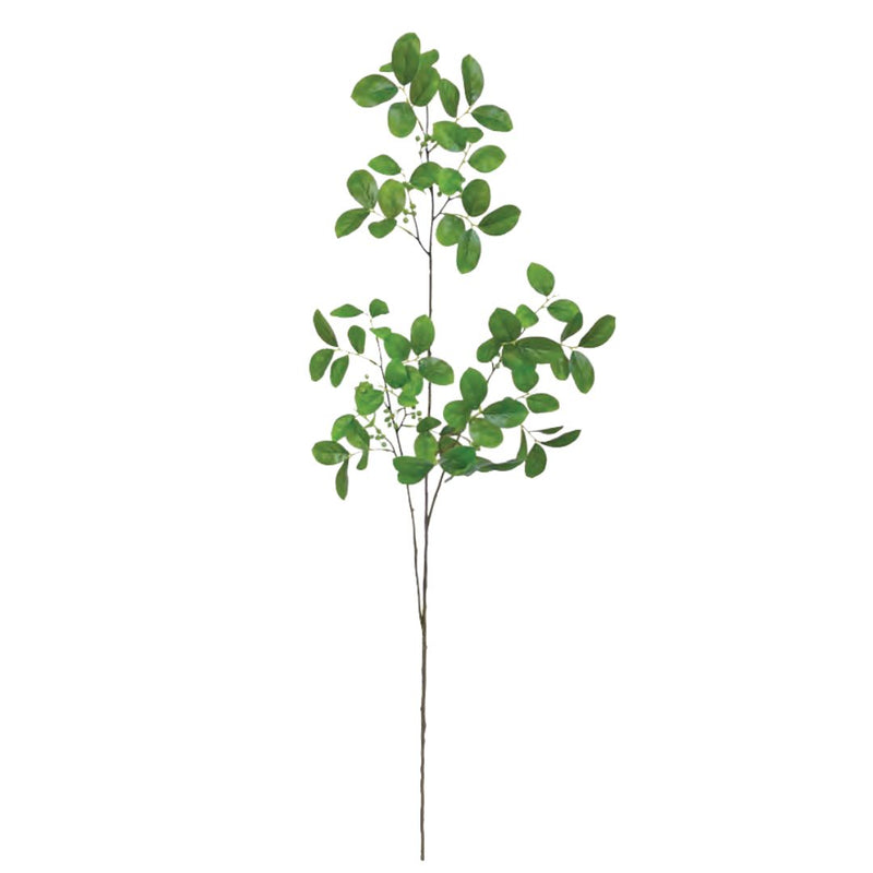Myrtle Foliage: Green - Tall