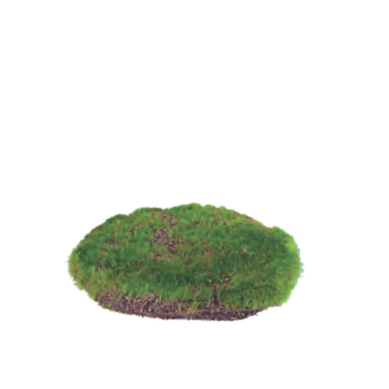 Moss Mound