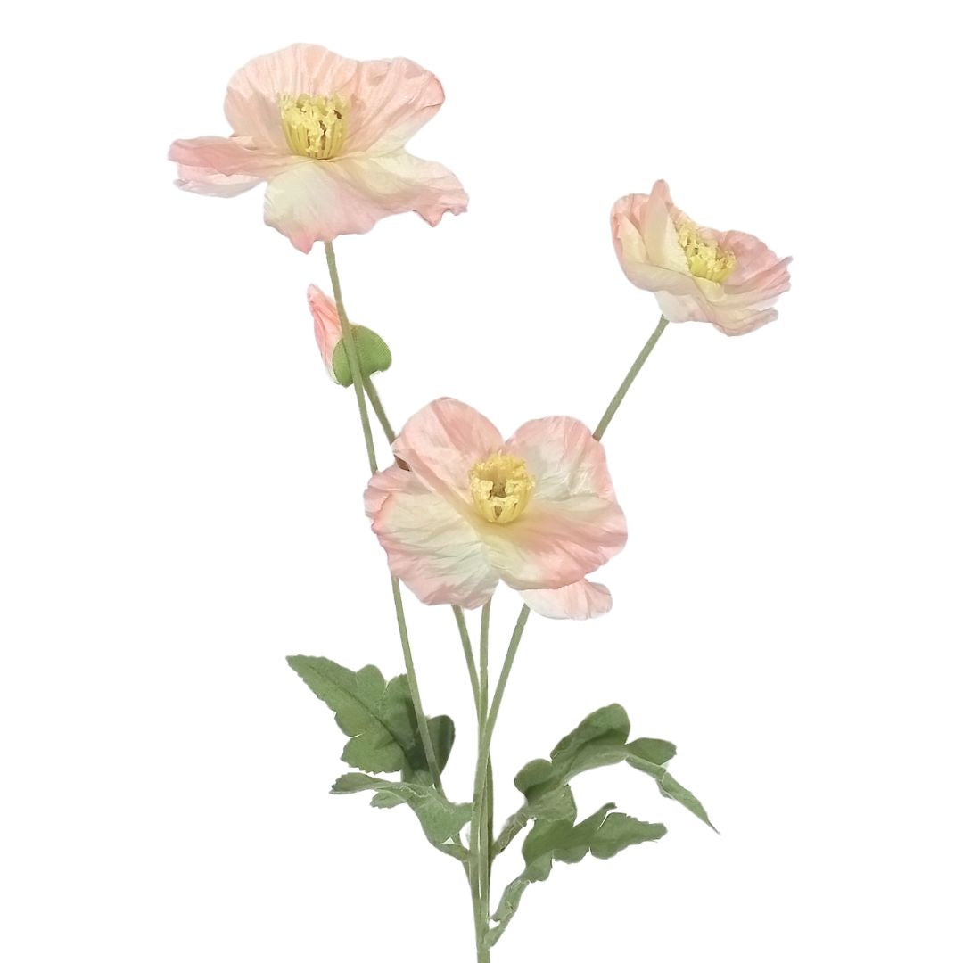 Mini Poppies: Peach