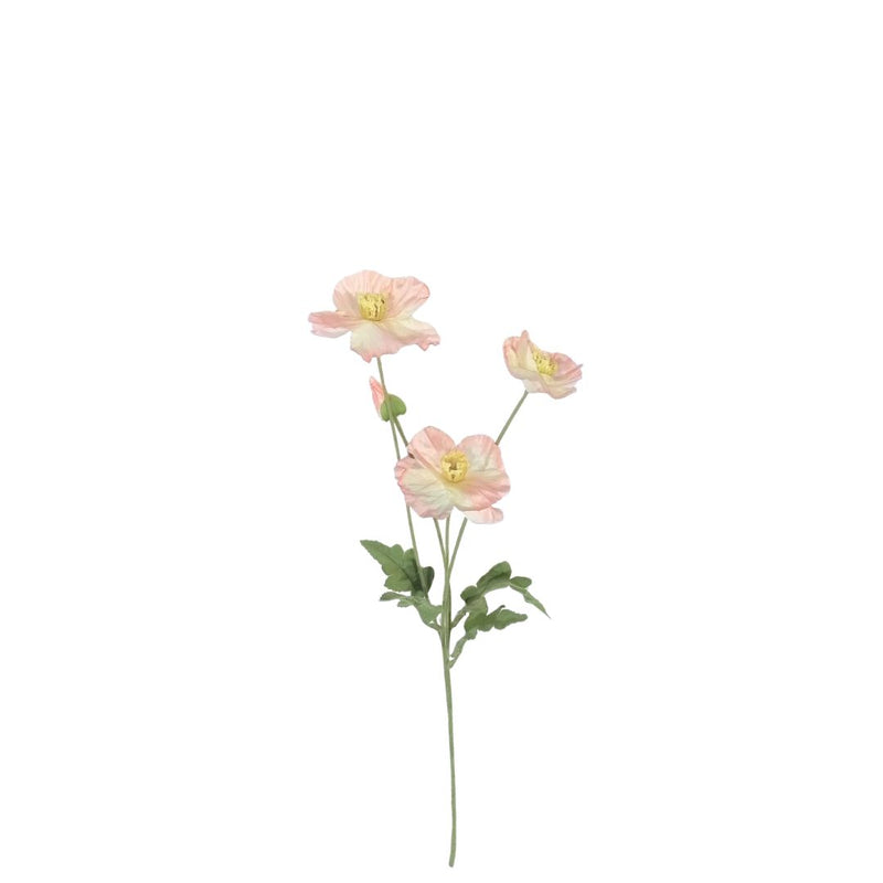 Mini Poppies: Peach