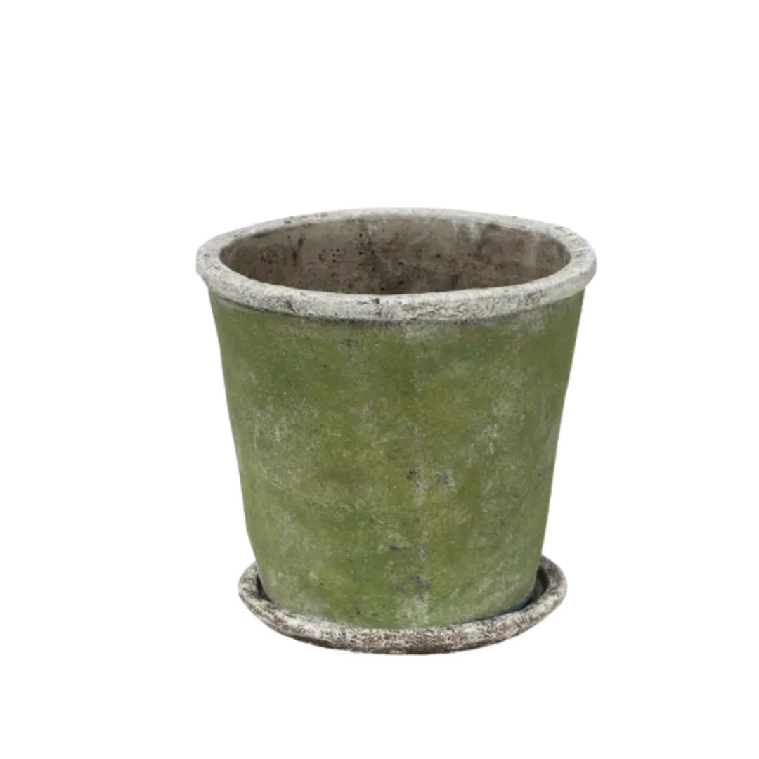 Evergreen Plant Pot & Saucer - Medium