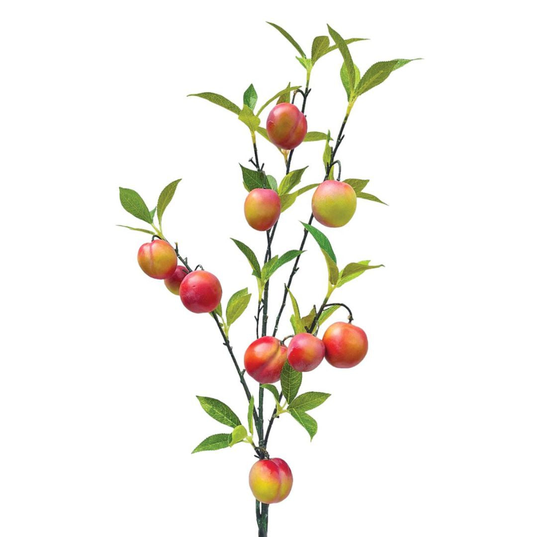 Nectarine Branch - Red/Green