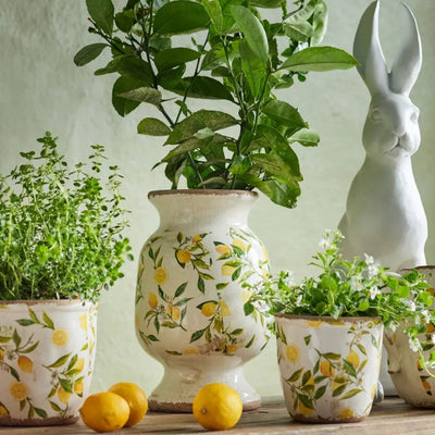 Botanical Lemon Urn
