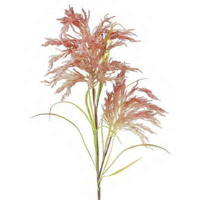 Pampus Grass 2F - Pink