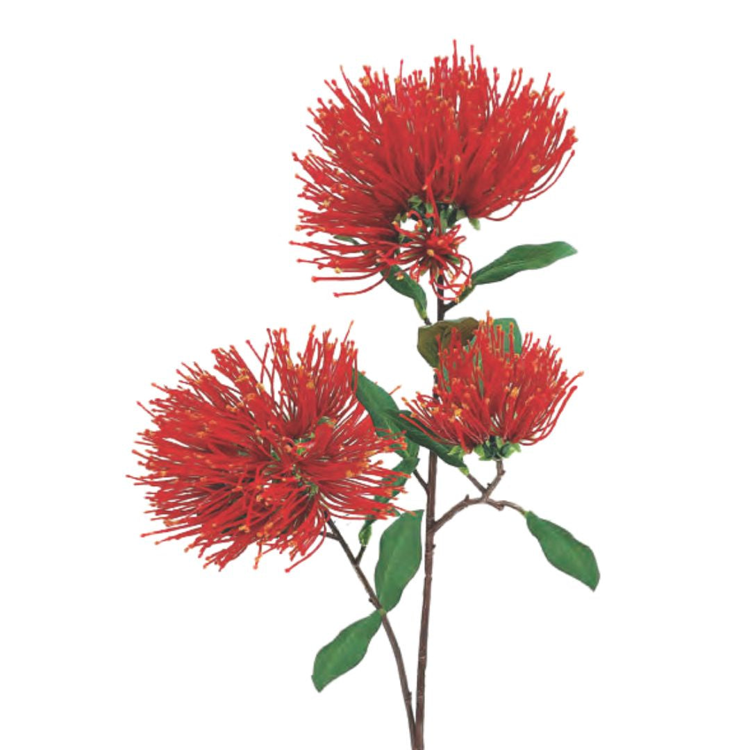 Pohutukawa Branch with 3 Flowers - Red