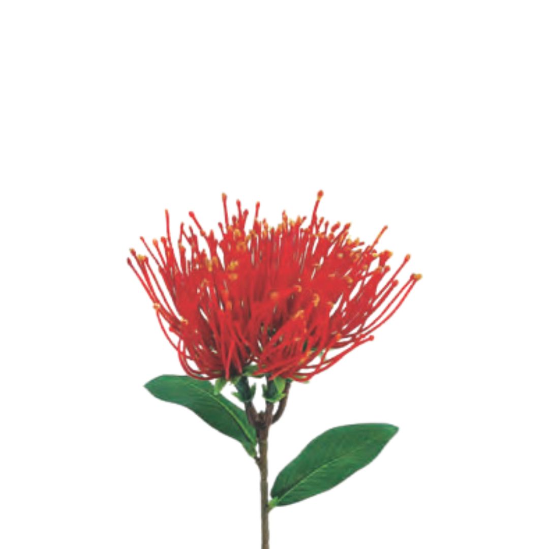 Pohutukawa Spray: Red/Green - Medium