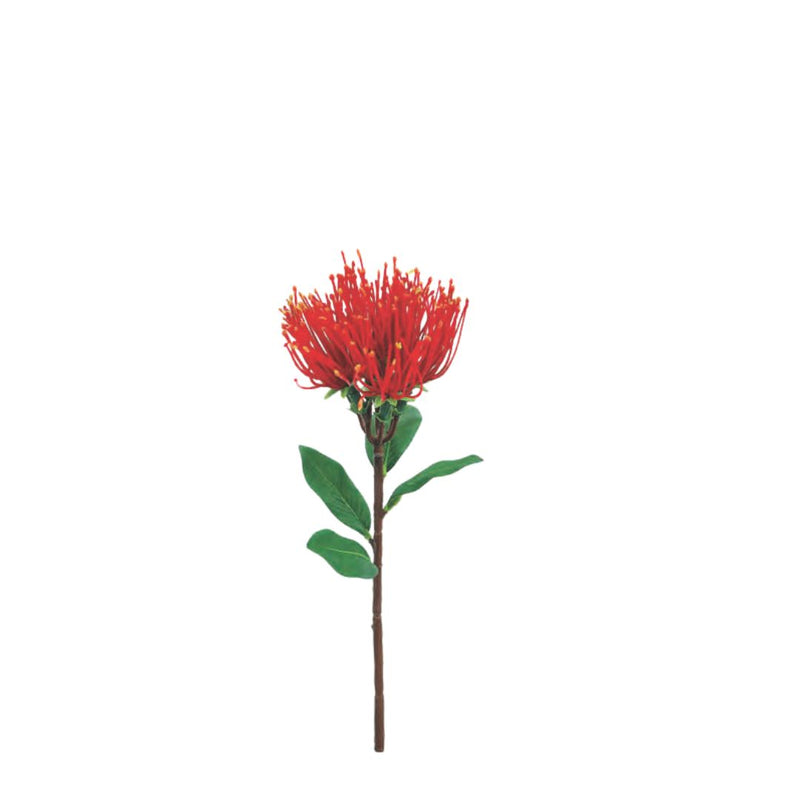 Pohutukawa Spray - Small