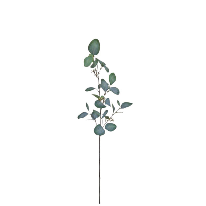 Round Leaf Eucalyptus with Seeds - Green