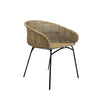 Palma Arm Chair