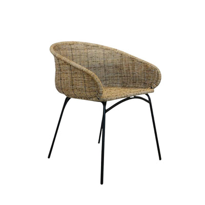 Palma Arm Chair