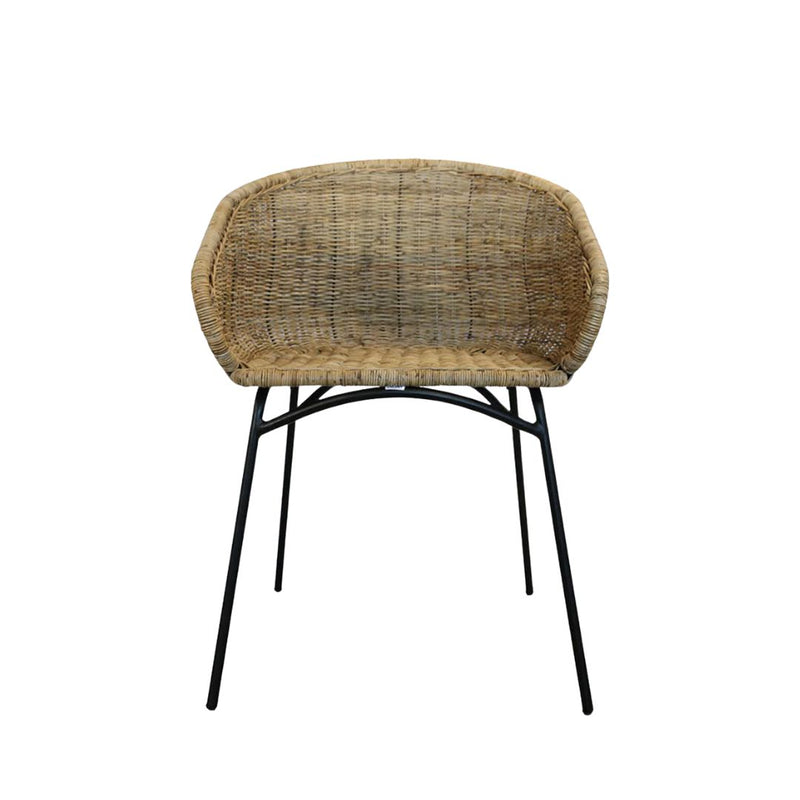 Palma Arm Chair
