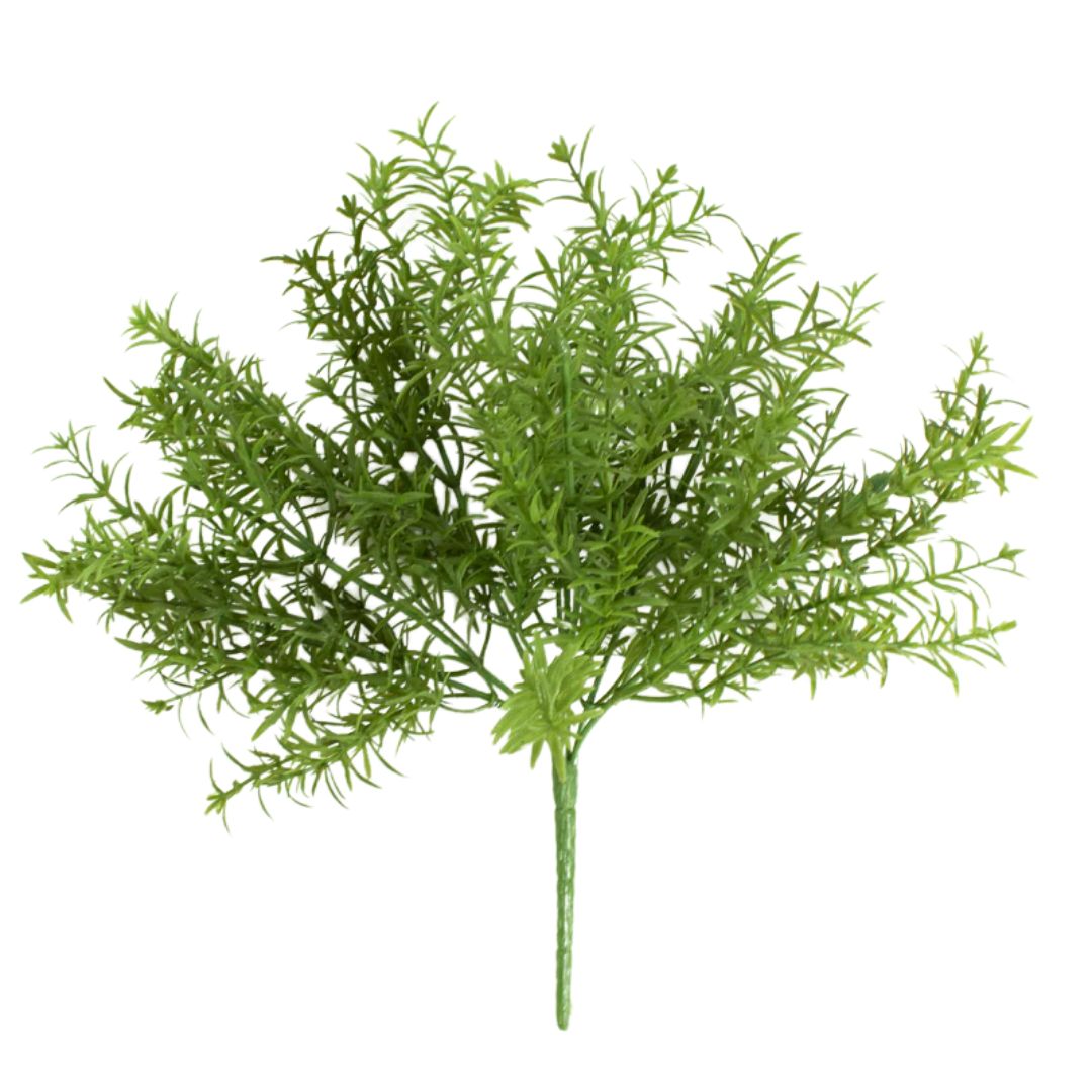 Rosemary Bush: Green