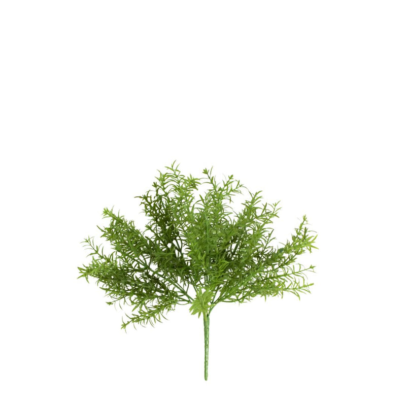 Rosemary Bush: Green
