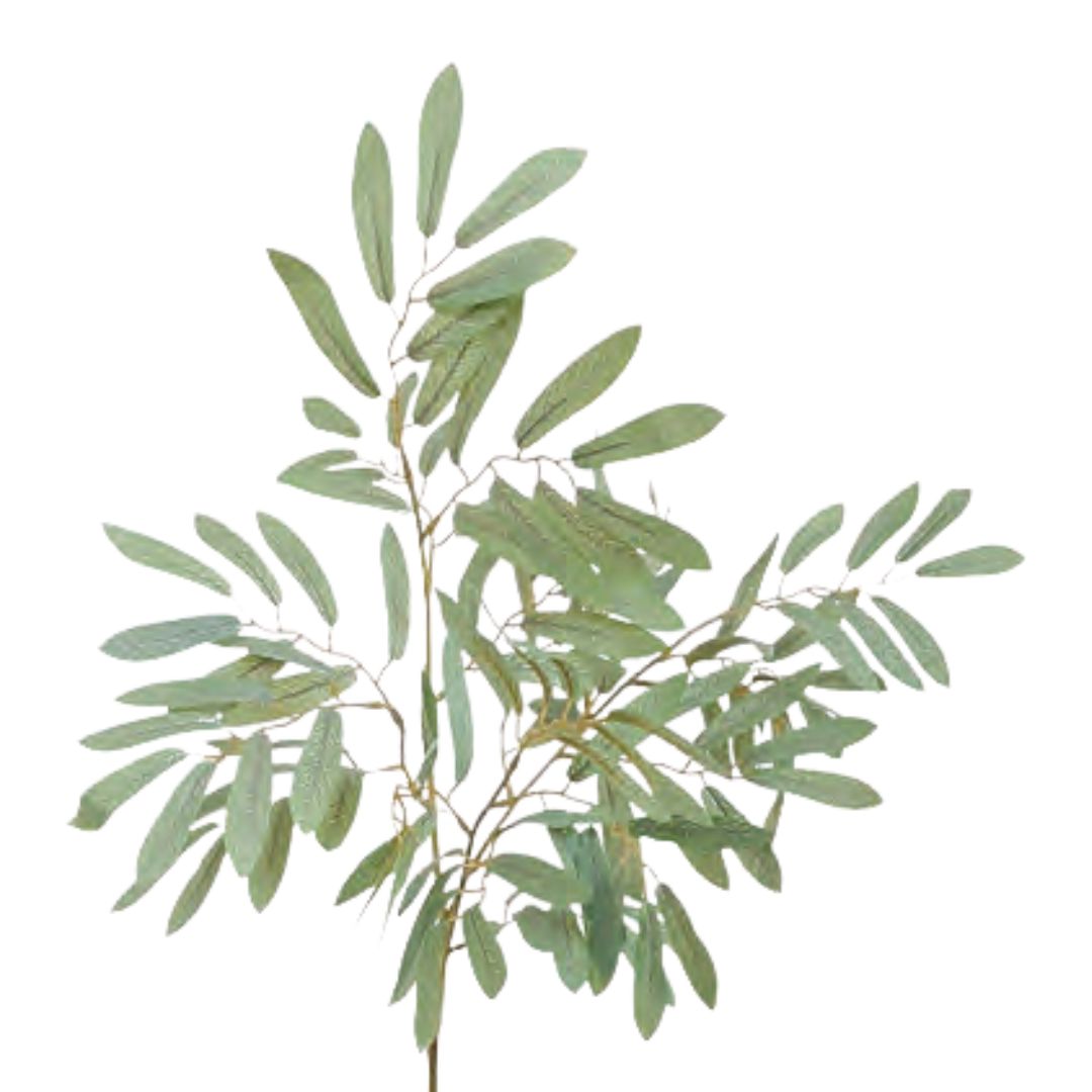 Ruscus Leaf: Grey