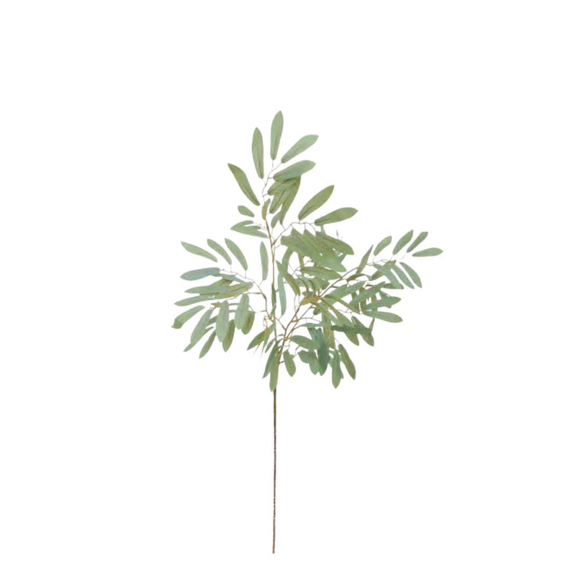 Ruscus Leaf: Grey