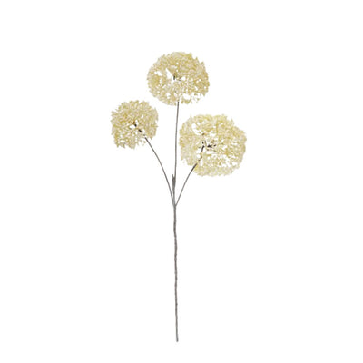 Sedum Spray: Cream