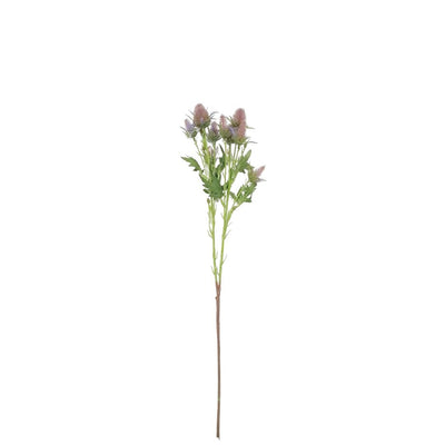 Sea Holly Thistle: Dusky Pink