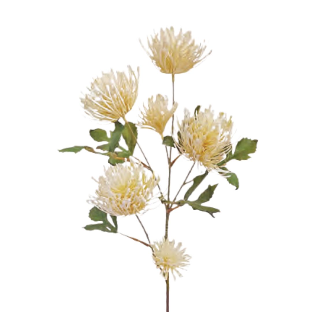 Spider Mum Spray: Cream