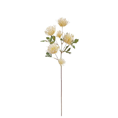 Spider Mum Spray: Cream